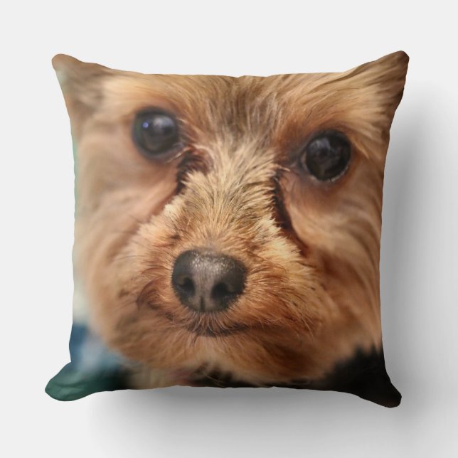 Cute  cushion (Front)