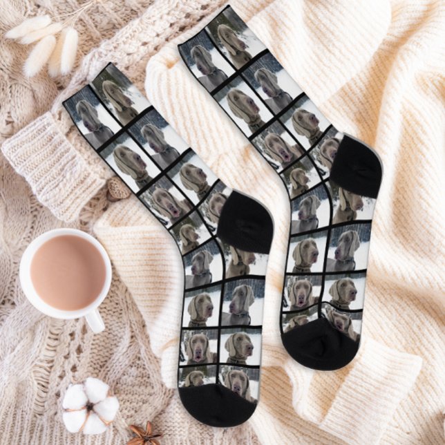 Cute Custom 4 Dog Photo Collage Grid Socks (Creator Uploaded)