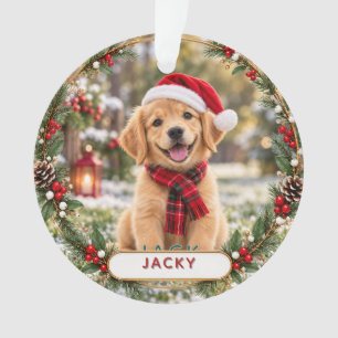 Cute Custom Dog & Cat Pet Christmas Personalised Ornament