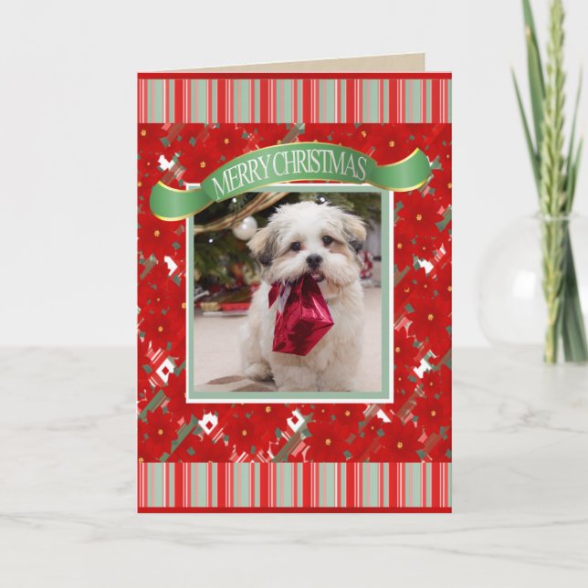 Cute Custom Dog Christmas Holiday Card (Front)