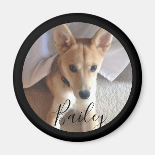 Cute Custom Dog Pet Photo Name Magnet