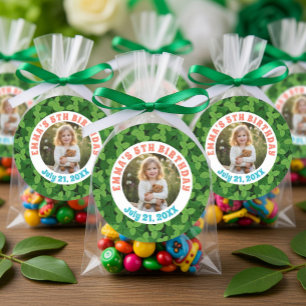 Cute Custom Ladybug & Photo Birthday Classic Round Sticker