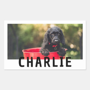Cute Custom Pet Photo and Name Rectangular Sticker