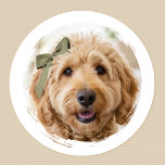 Cute Custom Photo Dog Pet Modern Printed Classic Round Sticker<br><div class="desc">Create a stylish personalized sticker using one of your favorite photos! This modern template places your photo within a paint brushstroke frame, perfect for displaying a photo of your cat, dog, or someone special. A simple design available with a matte or glossy finish, making it ideal for gift wrap, envelopes,...</div>