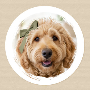 Cute Custom Photo Dog Pet Modern Printed Classic Round Sticker