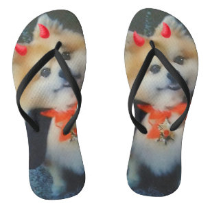 Cute Custom Pomeranian Dog Photo Flip Flops