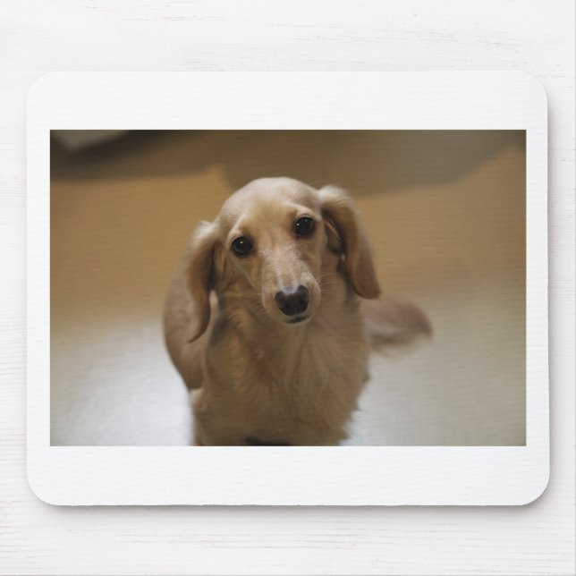 Cute dachschund dog mouse pad (Front)