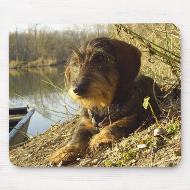 Cute Dachshund at the lake Mouse Pad (Front)
