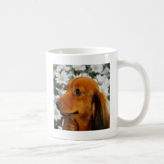 Cute Dachshund (Brown Long Haired) in Flowers Coffee Mug