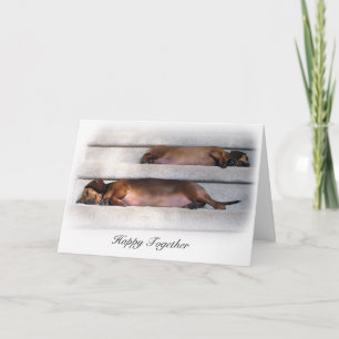 Cute Dachshund Card