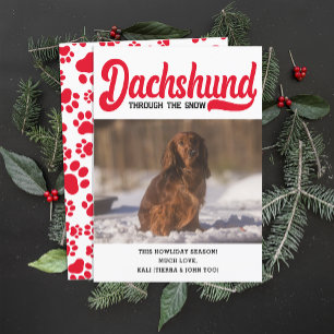 Cute Dachshund Dog Christmas Picture Custom Photo Holiday Card