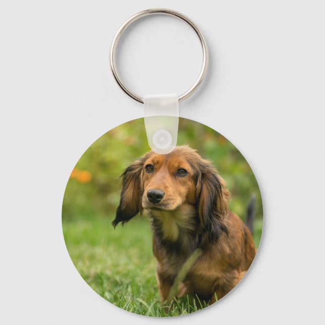 Cute Dachshund dog Key Ring (Front)