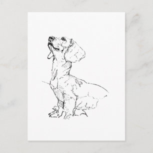 Cute Dachshund Drawing, Dog Parent Postcard