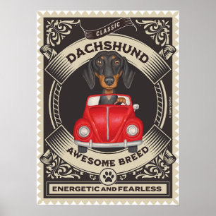 Cute Dachshund Driving Vintage Car Poster