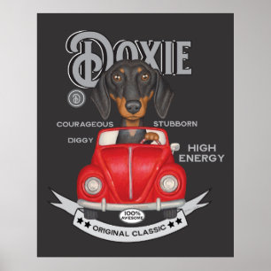 Cute Dachshund Driving Vintage Vehicle Poster
