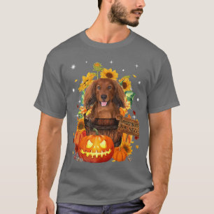 Cute Dachshund In Pumkins Halloween Autumn Leaves T-Shirt