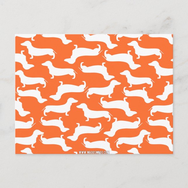 Cute Dachshund Pattern Perfect Gift for Doxie Love Postcard (Front)
