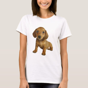 Cute Dachshund  Puppy (Cream Brown) Sitting T-Shirt