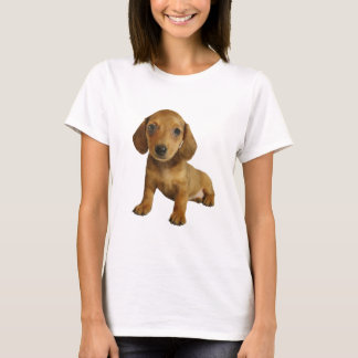Cute Dachshund  Puppy (Cream Brown) Sitting T-Shirt