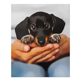 Cute Dachshund Puppy Lying On Human Knees Xmas Pos Photo Print