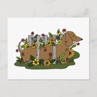 Cute Dachsund Postcard or Mini Art Print