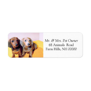 Cute Dachsund Puppies Return Address Mail Stickers