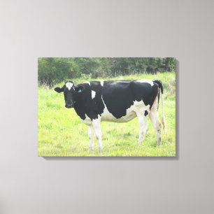 Cute Dairy Cow Photo Wall Canvas Art