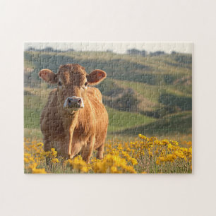 Cute Dairy Cow Yellow Wildflowers Jigsaw Puzzle