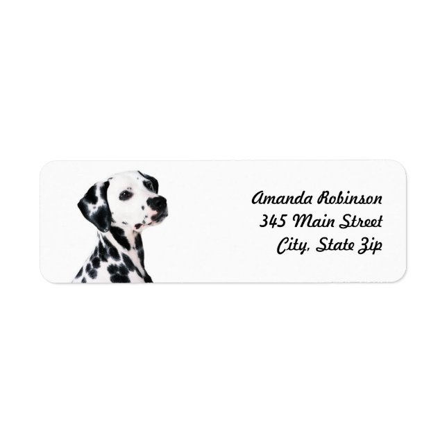 Cute Dalmatian Dog (Front)