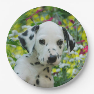 Cute Dalmatian Dog Cute Puppy Portrait - Paper Plate