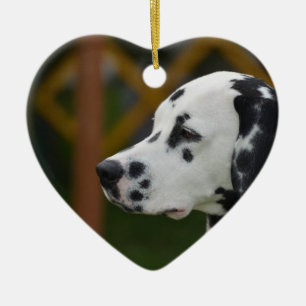 Cute Dalmatian Puppy Ceramic Tree Decoration