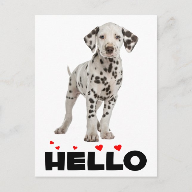 Cute Dalmatian Puppy Dog Hello Thinking of You Postcard (Front)