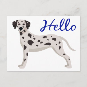 Cute Dalmatian Puppy Dog Hello Thinking of You Postcard
