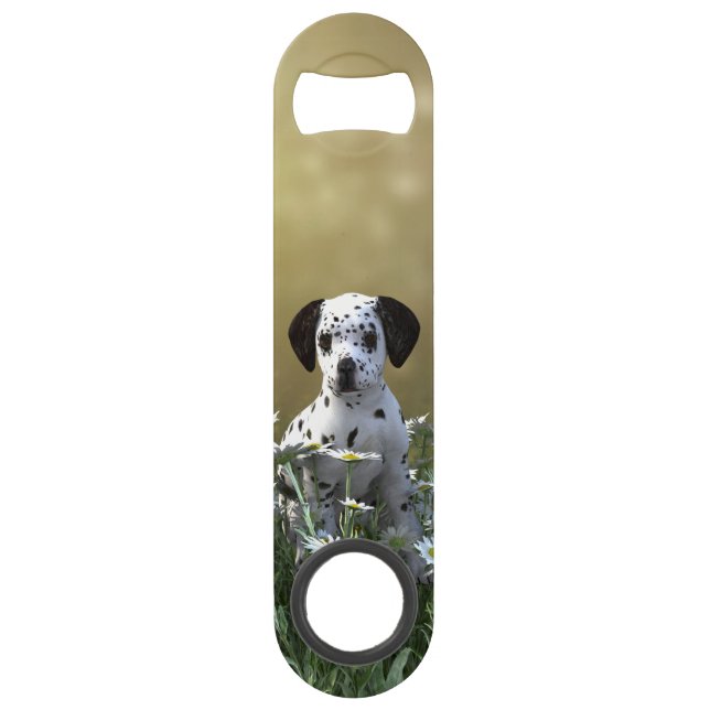 Cute Dalmatian Puppy in Daisies (Front)