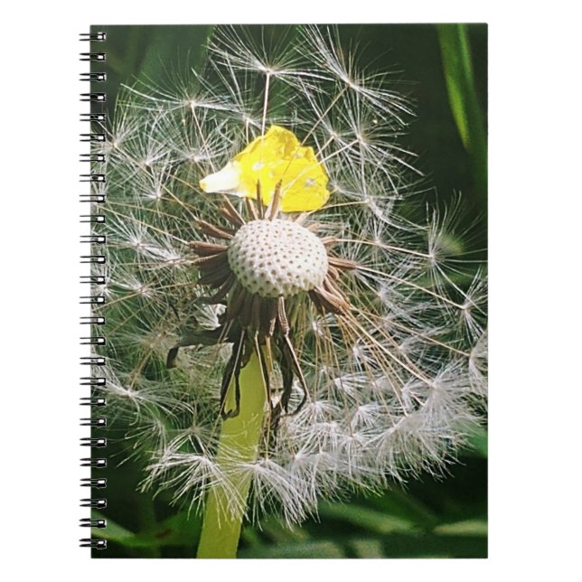 Cute dandelion notebook (Front)