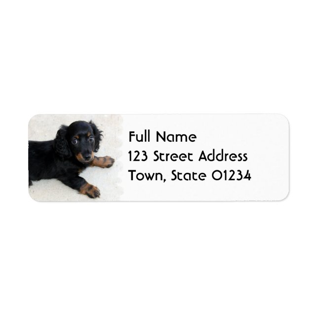 Cute Daschund  Mailing Label (Front)