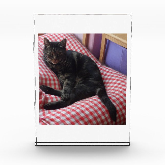 Cute Dave Acrylic Photo Block (Front)