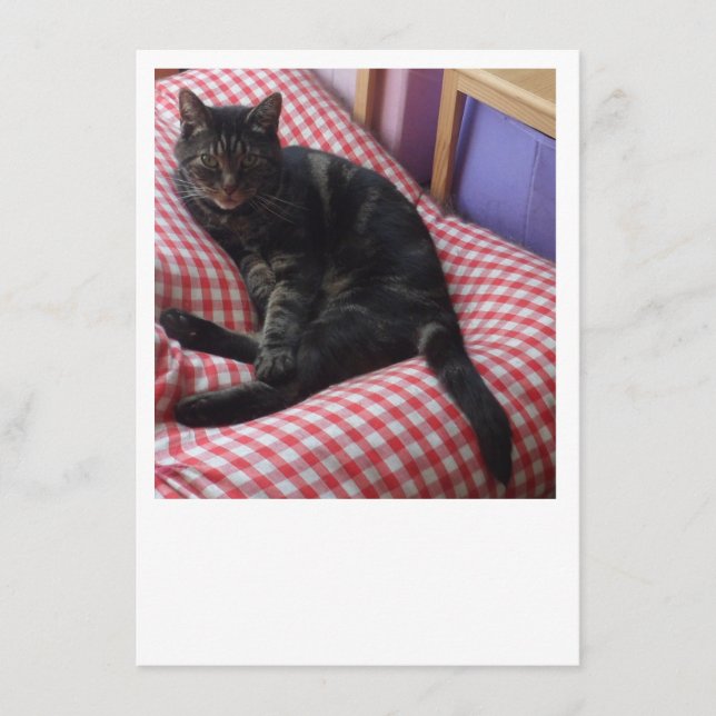 Cute Dave Enclosure Card (Front)