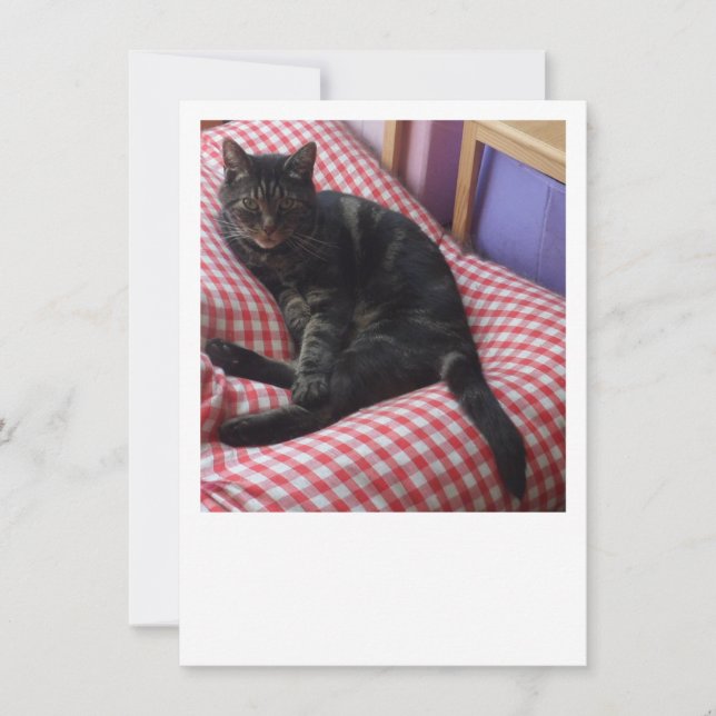 Cute Dave Flat Save The Date (Front)