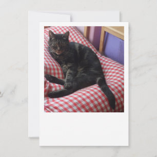Cute Dave Flat Save The Date