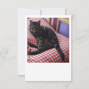 Cute Dave Flat Save The Date