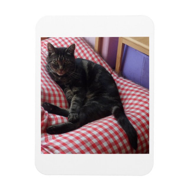 Cute Dave Flexible Photo Magnet (Vertical)