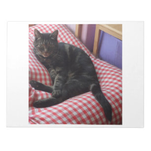 Cute Dave Notepad
