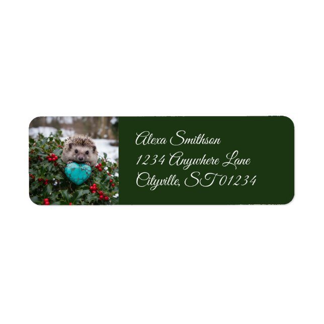Cute December Hedgehog with Turquoise Heart (Front)