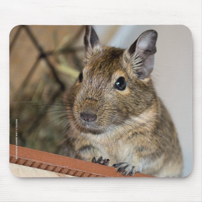 Cute Degu Mouse Pad (Front)