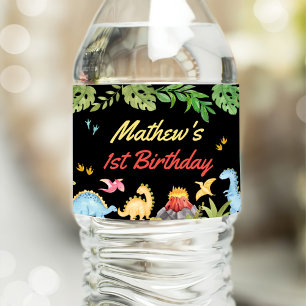 Cute Dinosaur Boy First Birthday Party Water Bottle Label