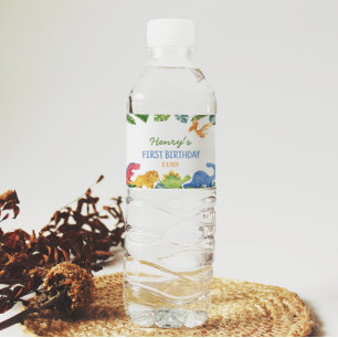 Cute Dinosaurs Birthday Water Bottle Label