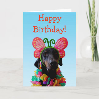 Cute Doberman dog butterfly birthday Card