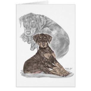 Cute Doberman Pinscher Puppy