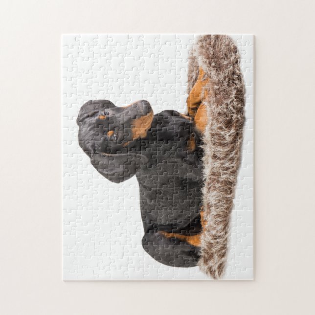 cute doberman pinscher puppy jigsaw puzzle (Vertical)